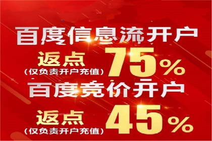 百度竞价广告投放策略及成功盈利案例